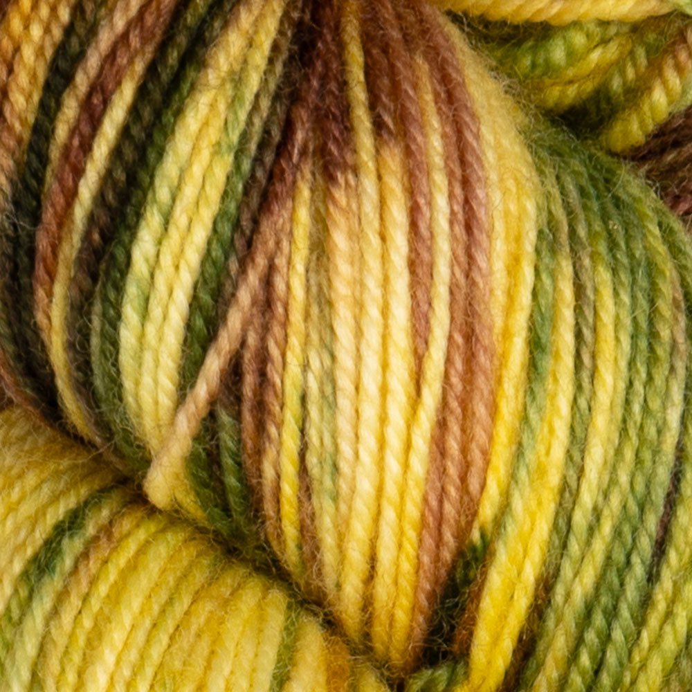 Twist Light | Debate Club
