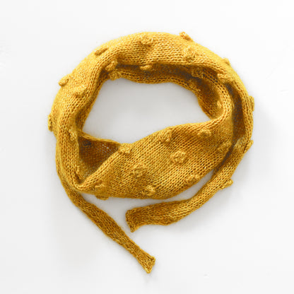 Bronco Bandana PDF