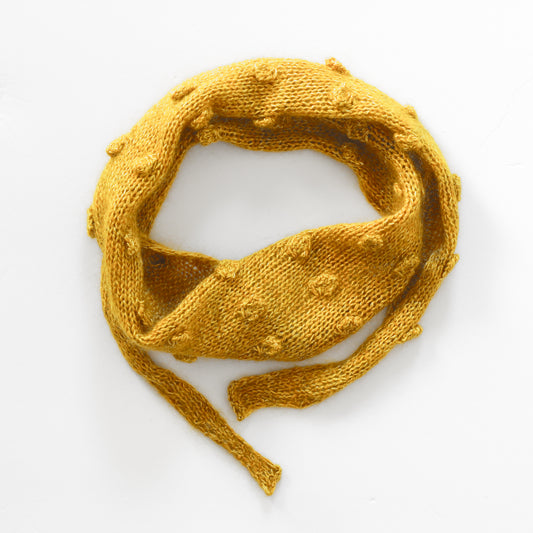 Bronco Bandana PDF