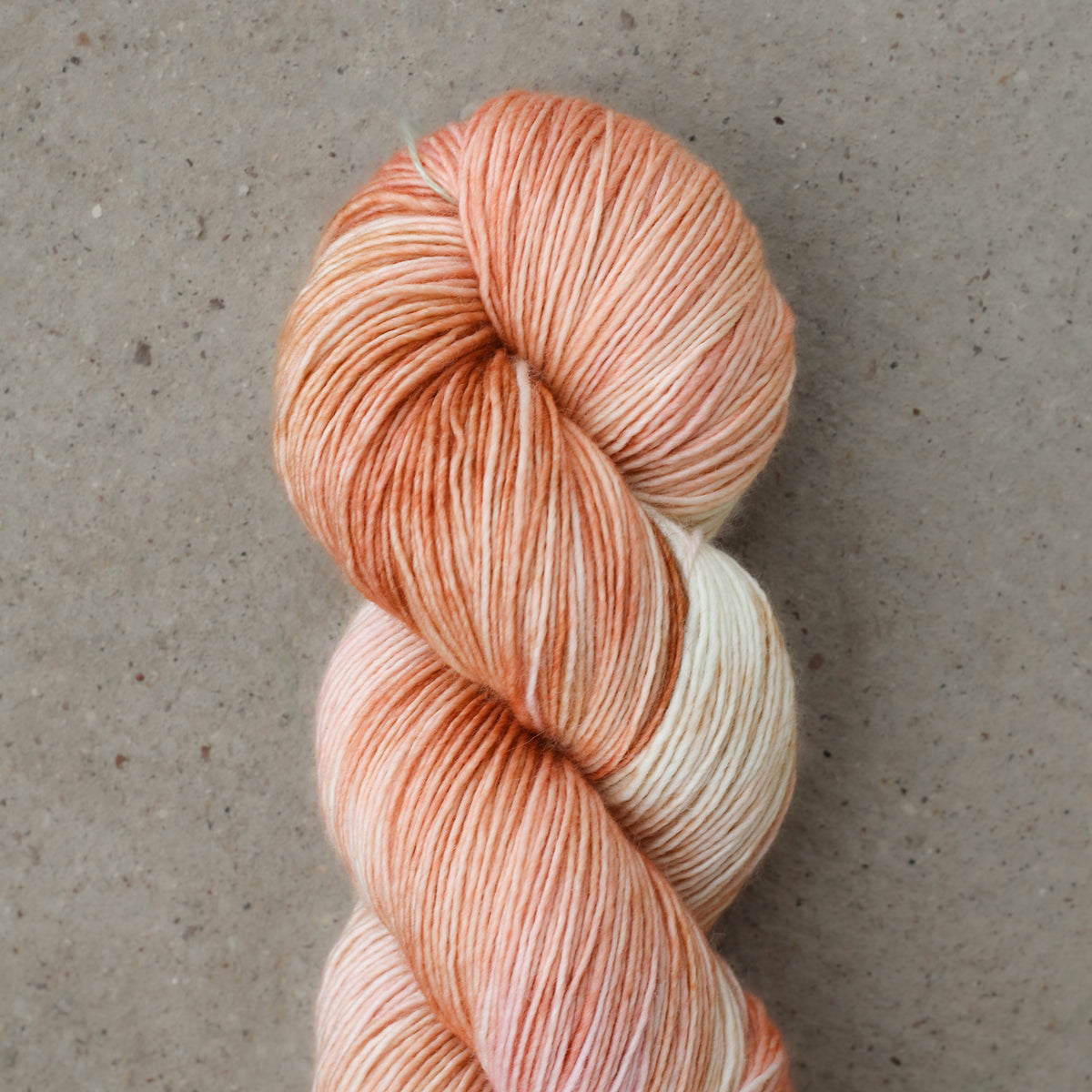 Pashmina | Creamsicle Kitties
