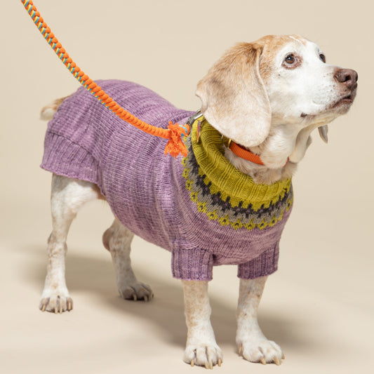 Happy Dog Sweater Kit