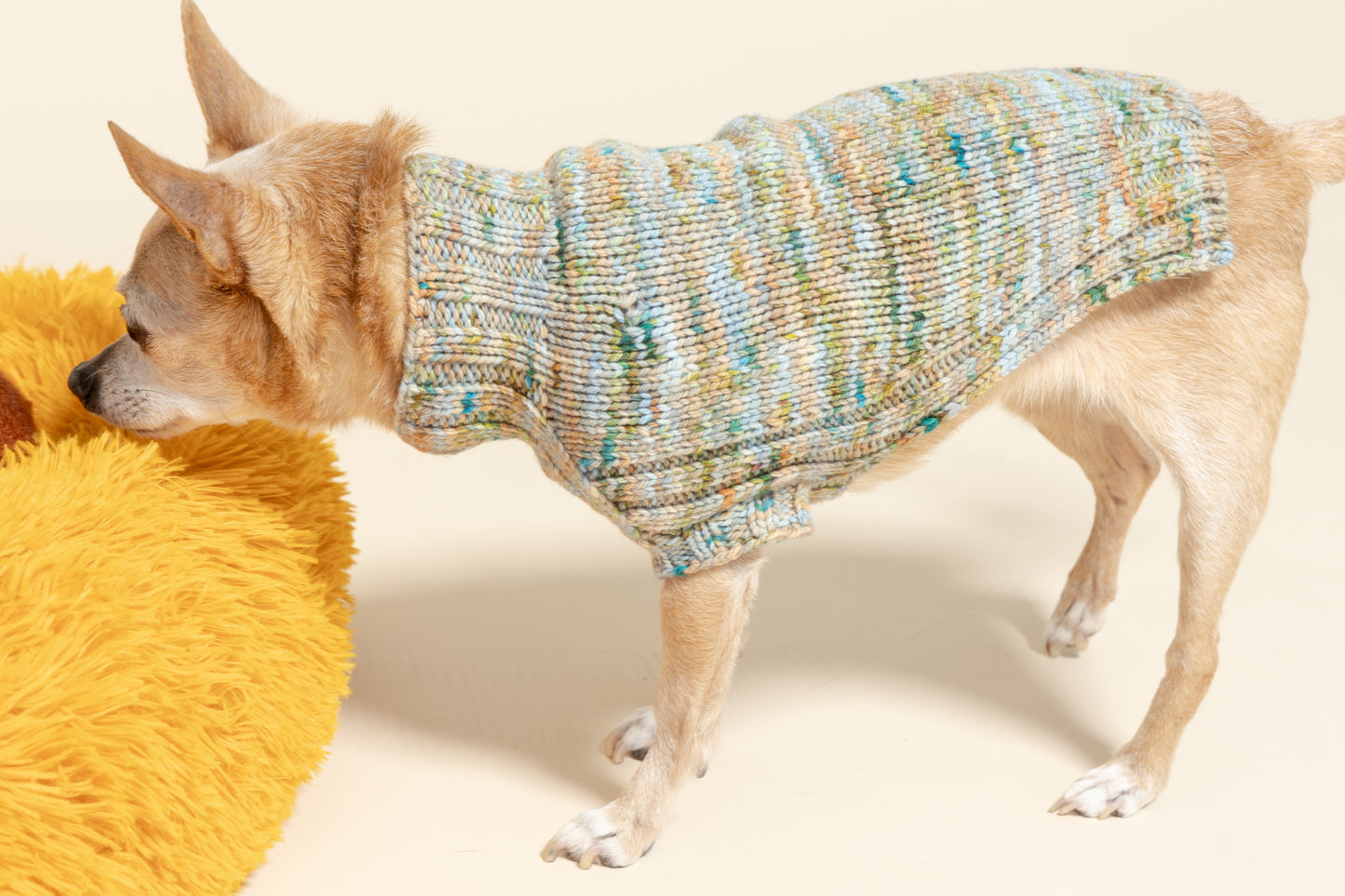 Lucky Dog Sweater Kit
