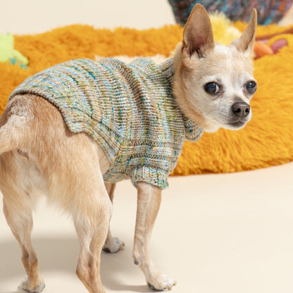 Lucky Dog Sweater Kit