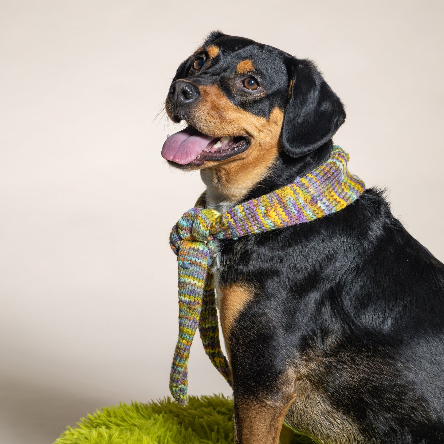 Brazos Bandana Kit