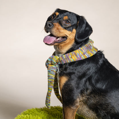 Brazos Bandana Kit