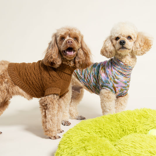 Alvar Dog Sweater Kit
