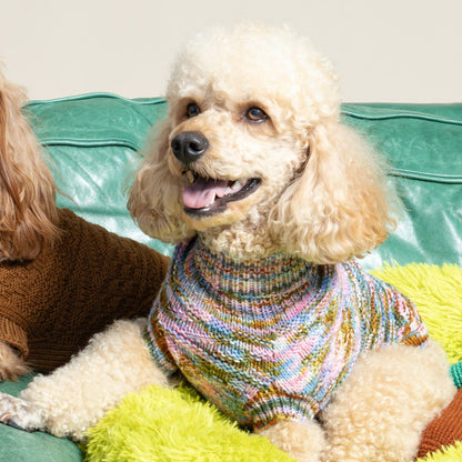 Alvar Dog Sweater Kit