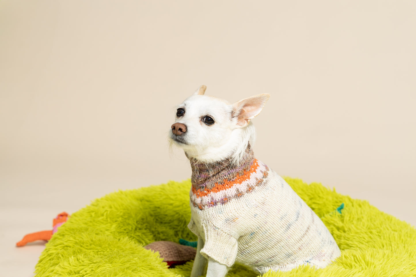 Happy Dog Sweater Kit