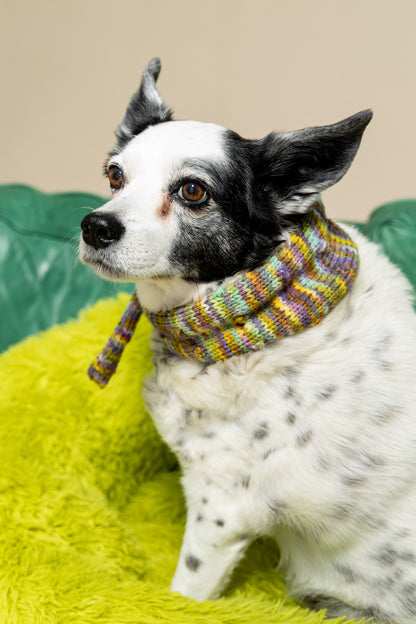 Brazos Bandana Kit