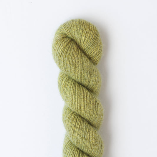 Tosh Pebble | Grasshopper