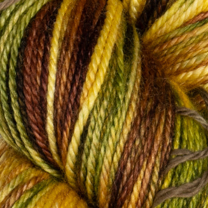 Pashmina | Debate Club