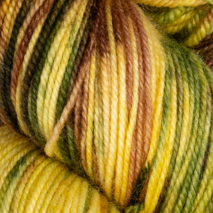 Twist Light | Debate Club