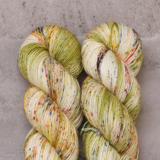 Pashmina | Everything on Pause