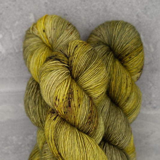 Pashmina | Librarian's Dream